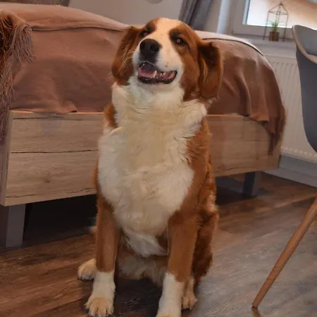 Busch's Gaestehaus Rust